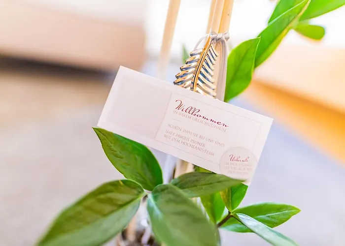 Hochland Gmbh Апартаменты 4*